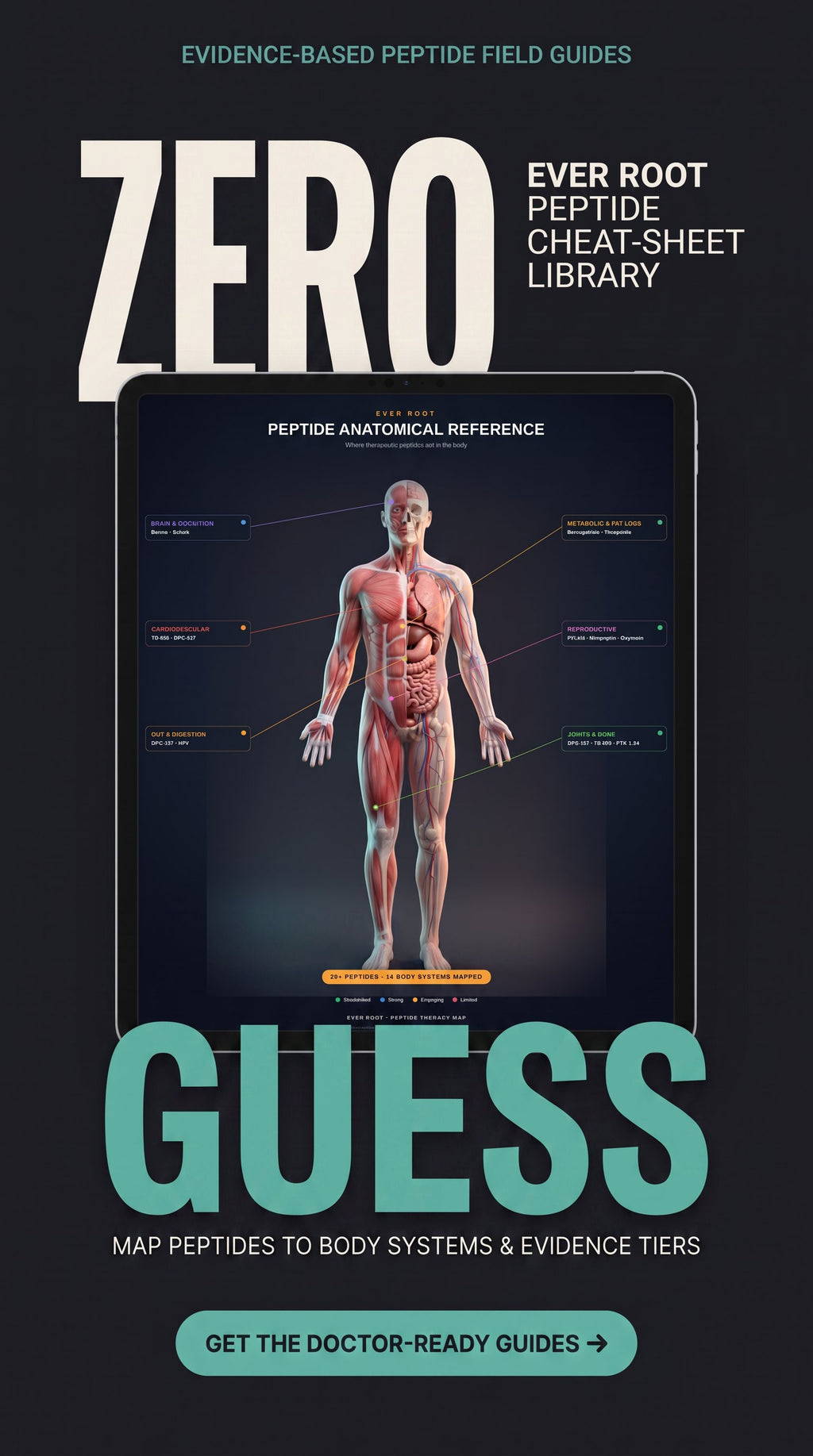 Peptide Guides — 12 Evidence-Rated PDFs