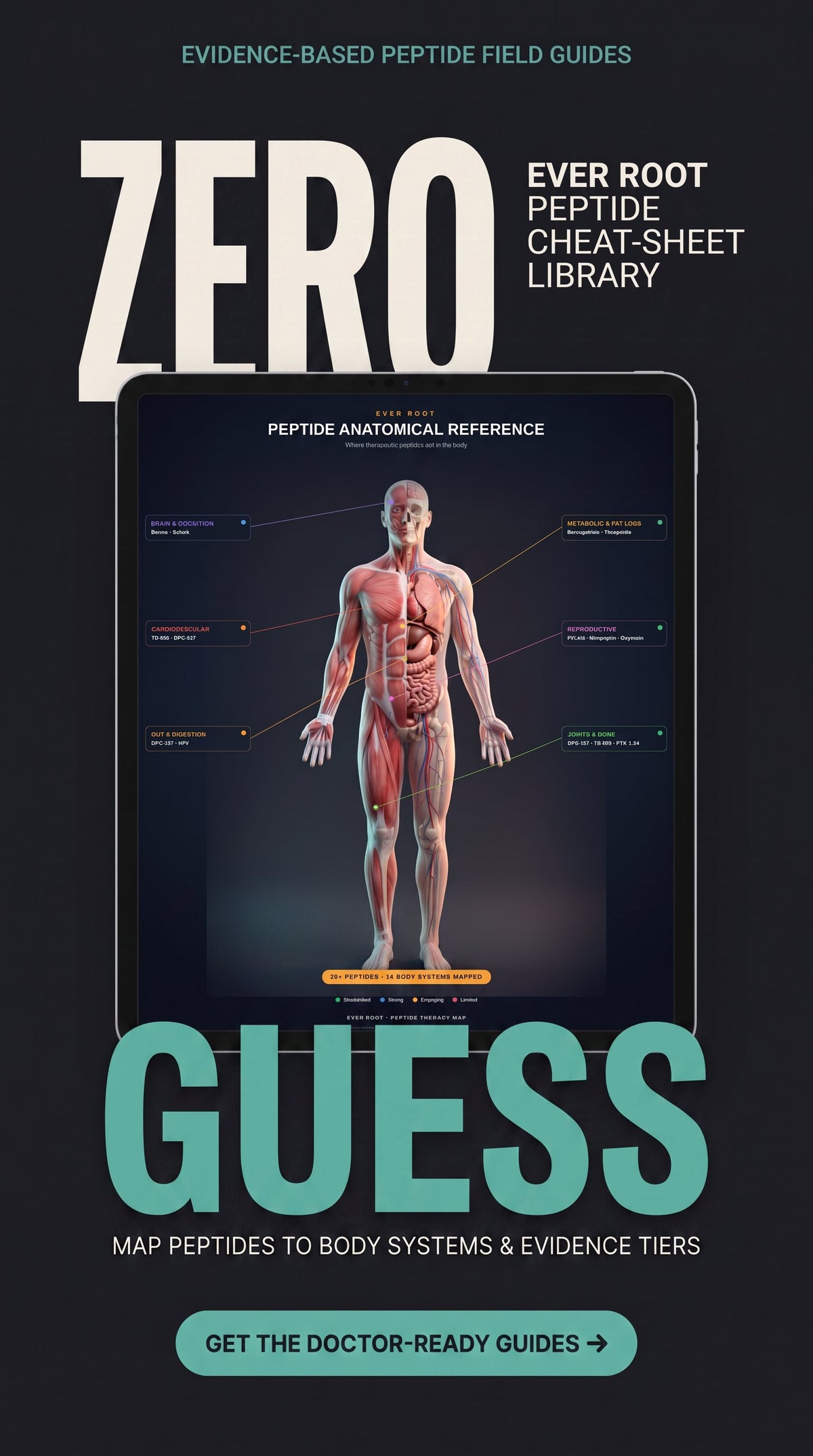 Peptide Guides — 12 Evidence-Rated PDFs